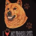 FINNISH SPITZ
