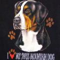 SWIS MOUNTAIN DOG