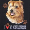 NORFOLK TERRIER