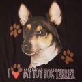 FOX TERRIER