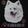  AMERICAN ESKIMO 