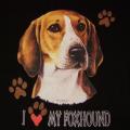 FOX HOUND