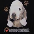 BEDLINGTON TERRIER