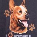 RED HEELER