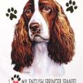ENGLISH SETTER SPANIEL