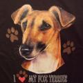 FOX TERRIER