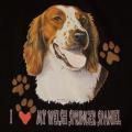WELSH SPRINGER SPANIEL