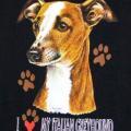 ITALIAN GREYHOUND