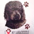LABRADOODLE