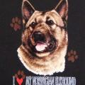 NORWEGIAN ELKHOUND