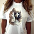 POODLE