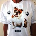 BULLDOG