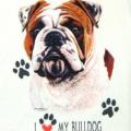 BULLDOG
