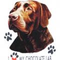 CHOCHOLATE LAB.