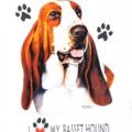 BASSET baset na tričku