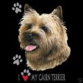 CARIN TERRIER