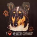COLLIE - KOLIE