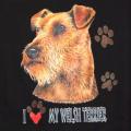  WELSH TERRIER