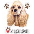 COCKER SPANIEL- kokršpaněl
