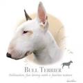 BULL TERRIER - potisk Bulteriera na tričku