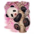 PANDA- na tričko ,nebo polštářek