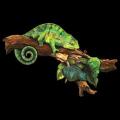 CHAMELEON- na tričko nebo poštářek
