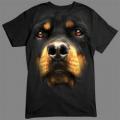 ROTTWAILER - velká hlava rottwailera na tričko