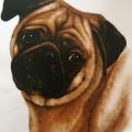PUG - potisk na tričko, polštářek 3