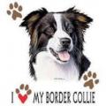BORDER COLIE - potisk Border kolie na tričko , polštářek