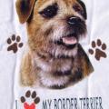 BORDER TERRIER - Borderka na tričku, polštářku