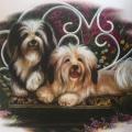 HAVANSKÝ PSÍK - HAVE SEAT HAVANESE - na tričku