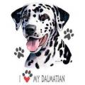 DALMATIN